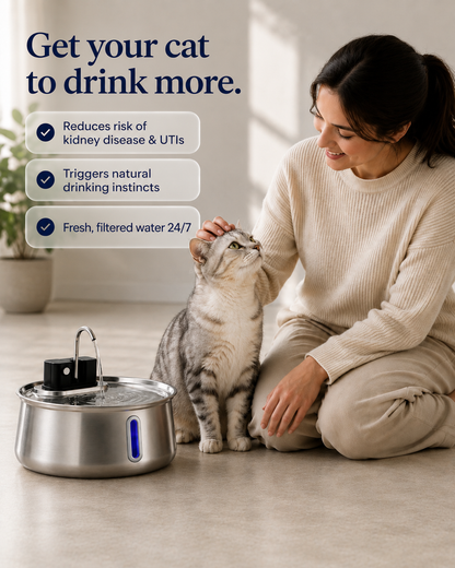 Snuffle™ Water Fountain Stainless Steel 2.0